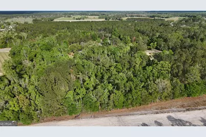 Tract 4 Spring Branch Road, Baxley, GA 31513 - Photo 7
