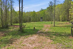 1601 Price Rd, Martin, GA 30557 - Photo 85