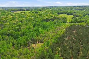 1601 Price Rd, Martin, GA 30557 - Photo 87