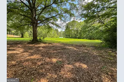 90 Howard Road, Senoia, GA 30276 - Photo 37