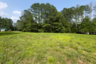 90 Howard Rd, Senoia, GA 30276 - Photo 11