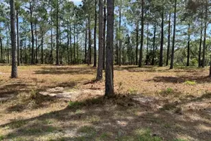 135 Beacon Pointe Pkwy, Woodbine, GA 31569 - Photo 1