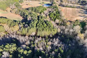 8365 Mt Carmel, Senoia, GA 30276 - Photo 3