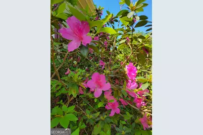 250 Wilcox Road, Lagrange, GA 30241 - Photo 29