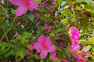 250 Wilcox Rd, Lagrange, GA 30241 - Photo 29