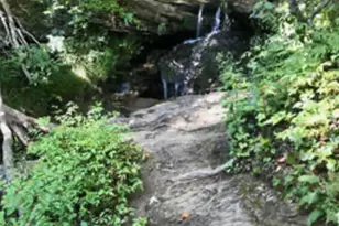 35 Canyon Pass, Cleveland, GA 30528 - Photo 15