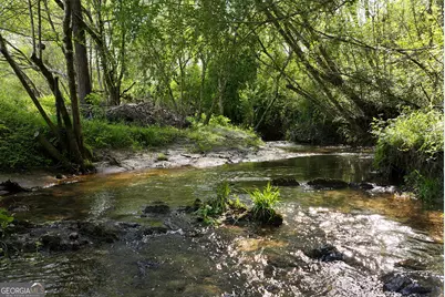 2640 Ben T Huiet Hwy, Clarkesville, GA 30523 - Photo 49