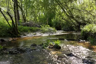 2640 Ben T Huiet Hwy, Clarkesville, GA 30523 - Photo 49