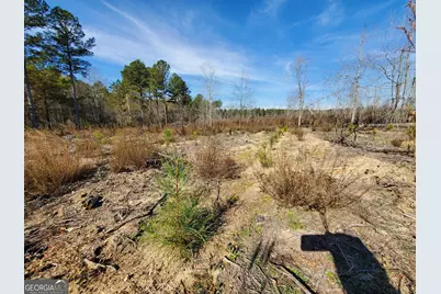 0 Smith Rocky Branch Road, Carlton, GA 30627 - Photo 9