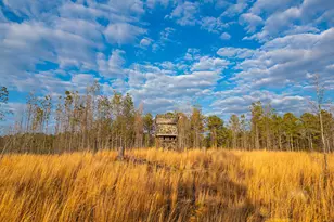 0 Smith Rocky Branch Rd, Carlton, GA 30627 - Photo 1