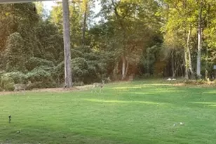 1002 Farmington Rd, Griffin, GA 30224 - Photo 29