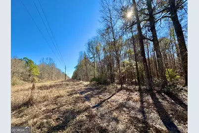 1 Cross Cedar Road, Wrightsville, GA 31096 - Photo 13