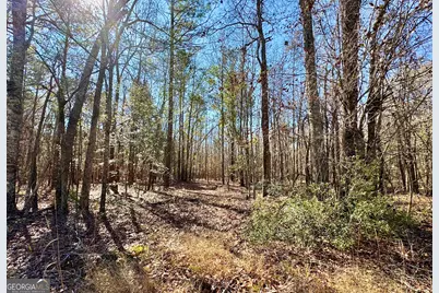 1 Cross Cedar Road, Wrightsville, GA 31096 - Photo 1