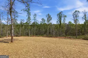 2254 Tower Rd, Martin, GA 30557 - Photo 31