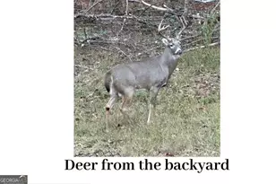 180 Lockwood Rd, Fayetteville, GA 30215 - Photo 53