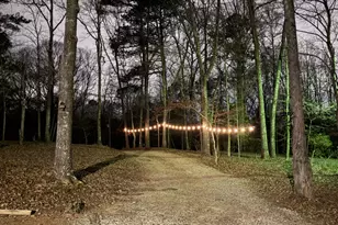 180 Lockwood Rd, Fayetteville, GA 30215 - Photo 53