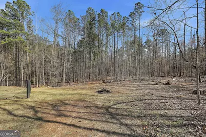 180 Lockwood Road, Fayetteville, GA 30215 - Photo 47
