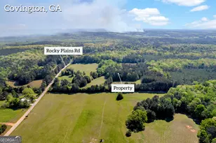 1025 Rocky Plains Rd, Covington, GA 30016 - Photo 1
