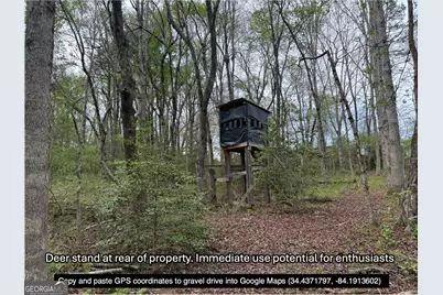 0 Sweetwater Juno Road, Dawsonville, GA 30533 - Photo 13