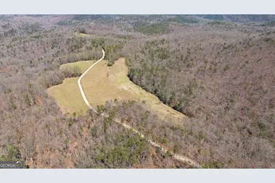 4034 Piedmont Orchard Road, Clarkesville, GA 30523 - Photo 45