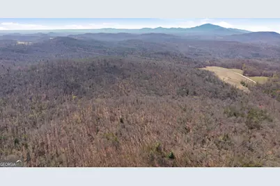 4034 Piedmont Orchard Road, Clarkesville, GA 30523 - Photo 49