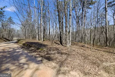 4034 Piedmont Orchard Road, Clarkesville, GA 30523 - Photo 69