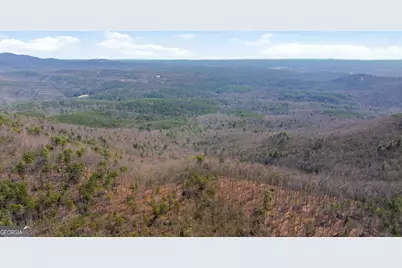 4034 Piedmont Orchard Road, Clarkesville, GA 30523 - Photo 35