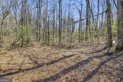 4034 Piedmont Orchard Road, Clarkesville, GA 30523 - Photo 15