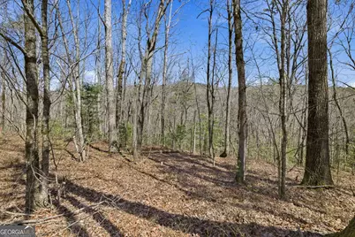 4034 Piedmont Orchard Road, Clarkesville, GA 30523 - Photo 71