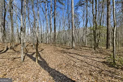 4034 Piedmont Orchard Road, Clarkesville, GA 30523 - Photo 63