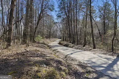 4034 Piedmont Orchard Road, Clarkesville, GA 30523 - Photo 59