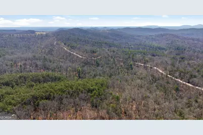 4034 Piedmont Orchard Road, Clarkesville, GA 30523 - Photo 33