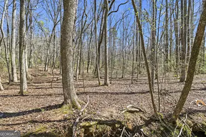 4034 Piedmont Orchard Road, Clarkesville, GA 30523 - Photo 13