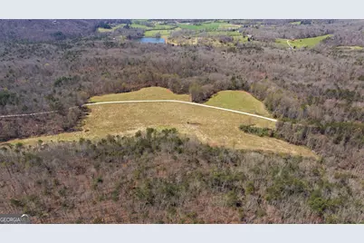 4034 Piedmont Orchard Road, Clarkesville, GA 30523 - Photo 41