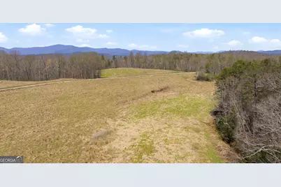 4034 Piedmont Orchard Road, Clarkesville, GA 30523 - Photo 21