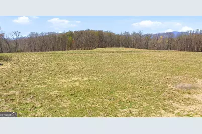 4034 Piedmont Orchard Road, Clarkesville, GA 30523 - Photo 5