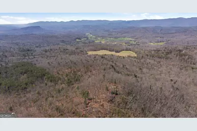 4034 Piedmont Orchard Road, Clarkesville, GA 30523 - Photo 39