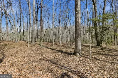 4034 Piedmont Orchard Road, Clarkesville, GA 30523 - Photo 65