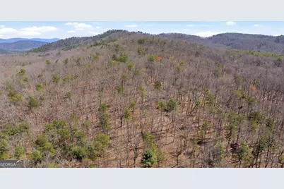 4034 Piedmont Orchard Road, Clarkesville, GA 30523 - Photo 23