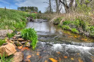 139 Cedar Ln, Blairsville, GA 30512 - Photo 31