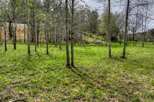 139 Cedar Ln, Blairsville, GA 30512 - Photo 37