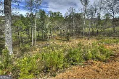 139 Cedar Lane, Blairsville, GA 30512 - Photo 9