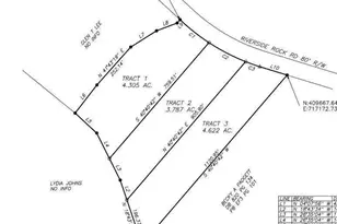 6401 Riverside Rock Rd, Nahunta, GA 31553 - Photo 13