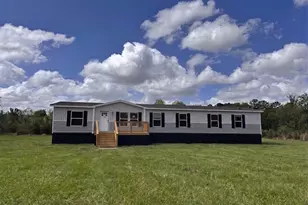 6401 Riverside Rock Rd, Nahunta, GA 31553 - Photo 1