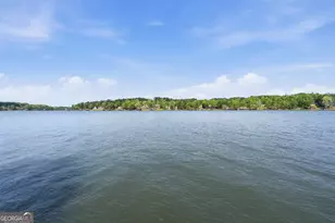 57 Birch Ln, Sparta, GA 31087 - Photo 55