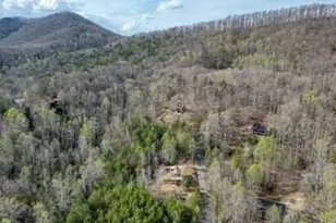 315 Hidden Branch Dr, Young Harris, GA 30582 - Photo 39