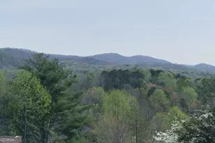 210 Canal Lake Rd, Blairsville, GA 30512 - Photo 77