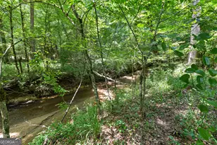 493 Boone Rd, Newnan, GA 30263 - Photo 49