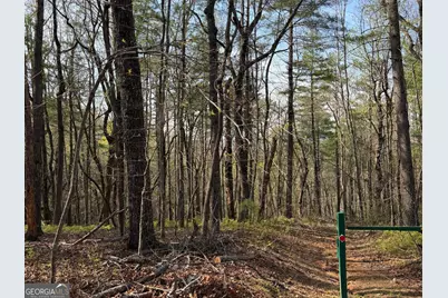 552 Long Laurel Ridge 6.65 Acres #LOT 2, Lakemont, GA 30552 - Photo 5
