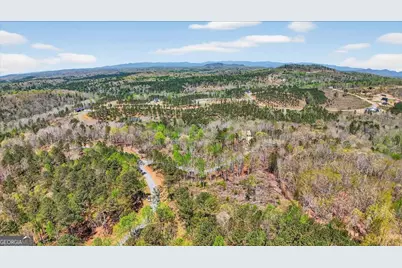 0 Twisted Oak Road #LOT 440, Talking Rock, GA 30175 - Photo 7
